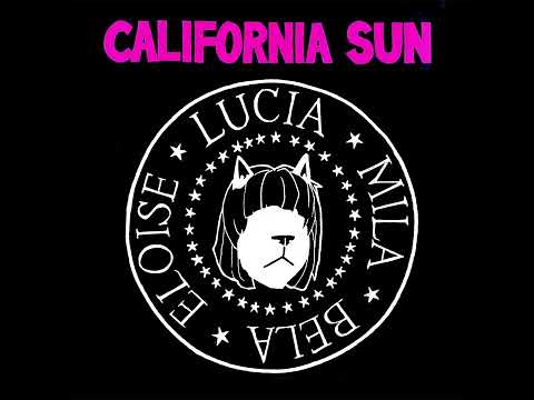 The Linda Lindas and Epitaph Records