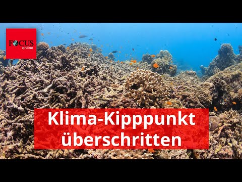 Und jetzt hat die Welt den ersten Klima-Kipppunkt überschritten