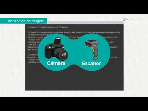 01 Desarrollador de aplicaciones móviles