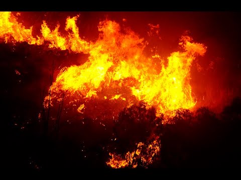 Testimonianze dall'Oltretomba, di Anime Purganti e di Anime Dannate