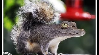 SquirrelPlay: Robert Mensah's Sins of the Father, Astrokill, Poi and Dungeon Rushers