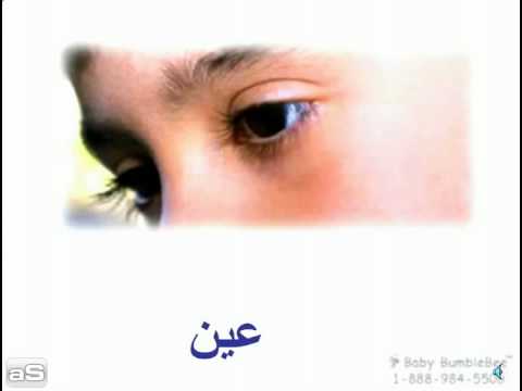 Arabic Flash Cards for Children-Body Parts