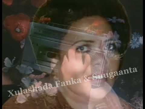 Magool |Ninka Guba Dhulkeena |Waa Gar