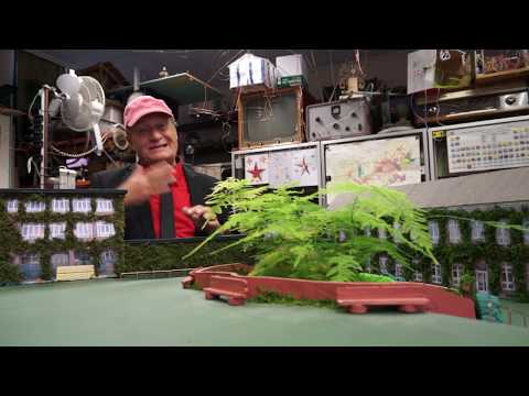 Jacques Vermeire steunt de meisjes van 2Md met hun Groene Vallei.