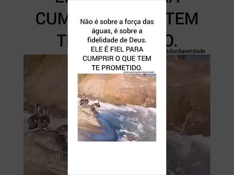 A aposta deu: confiança e lealdade reafirmadas