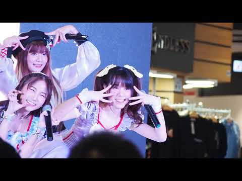 141121 [Fancam] Vasa Castella - ทาสแมว (Original by Honey toast)