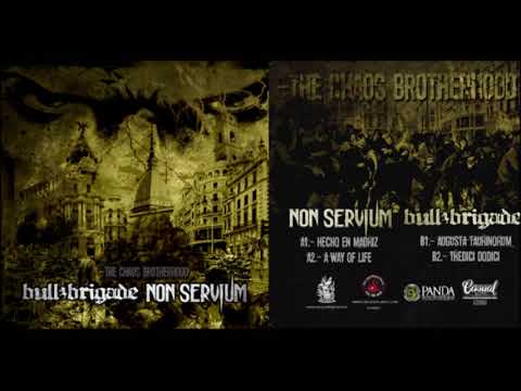 Non Servium  -  Hecho en Madriz (Bull Brigade cover)