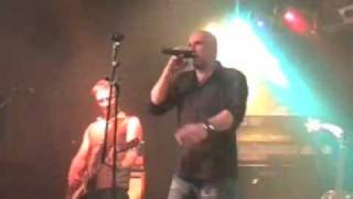 On Alarm - The Wingenfelders