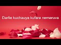 Jah Prayzah - Cry no more (Official Lyric Video) A Dedication to My Wife