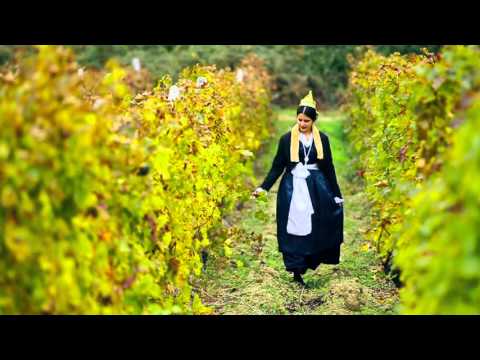 Harizma band-  Licna nevesta(official video)