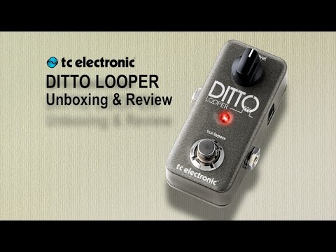Ditto Looper Unboxing, Demo & Review