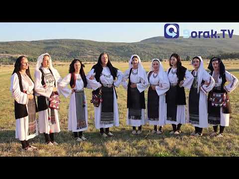 KUD Mokro u Roškom Polju: Lastavica