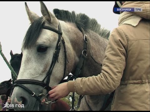 Наследники Эогиппуса