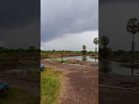 Chuva em Jaguaruana sentido a Russas Ceará 26/01/2026