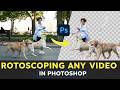 Remove Any Video Background INSANE Rotoscoping Results