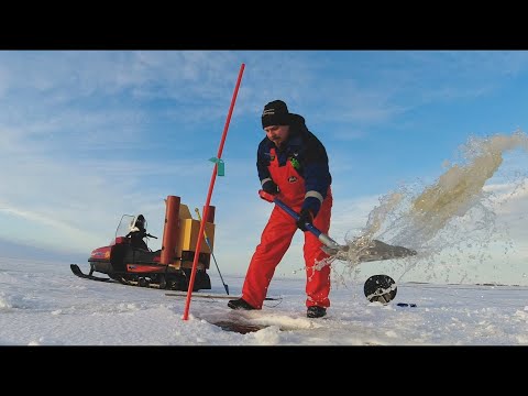 Talviverkoilla 6/2023