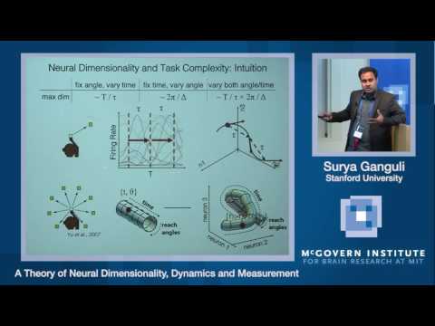 Surya Ganguli, A theory of neural dimensionality: McGovern Institute Symposium