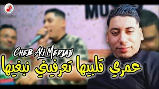 Cheb ali medjaji 2023 omri gelbiha علي المجاجي عمري ڨلبيها تعرفيني نبغيها