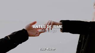 Shawn Mendes - Mutual | Lyrics, español