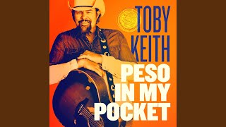 Toby Keith Take A Look At My Heart