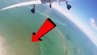 Spotting Sharks From an Airplane.
