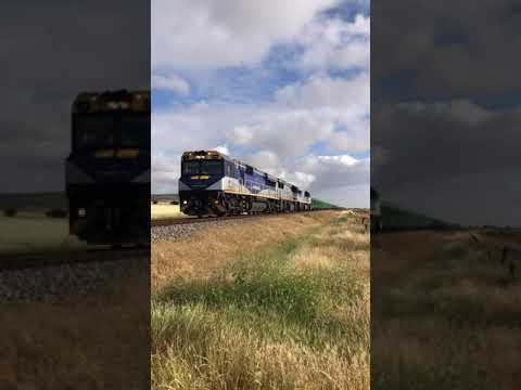 TRAINS AM22 Bowmans Rail 5100S CM3309 VL361 VL357 23/10/2021 Snowtown