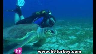 preview picture of video 'Scuba Diving in Kaş, Turkey by Bougainville Travel'