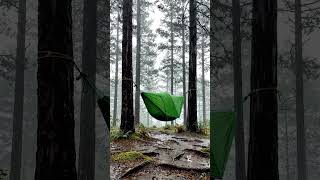 Download lagu Relaxing Rain inside a Hammock Tent | Rainy Forest Camping ASMR #asmr mp3