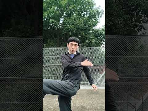 宮拳法カーフキック