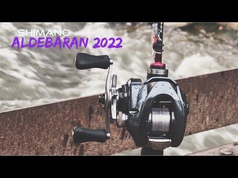 Shimano Aldebaran 2022 (BFS Prophet)