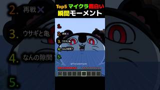【マイクラ】面白い瞬間モーメントTOP5 【まいくら・マインクラフト・minecraft・funny・moments】 #minecraft   #マインクラフト #ちいかわ