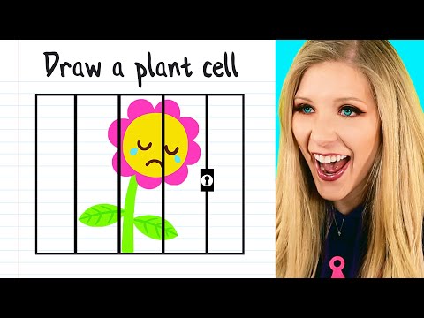 Funny Test Answer FAILS from Kids!