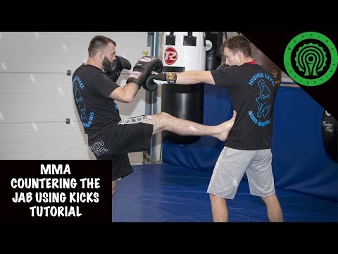 MMA Countering the Jab using Kicks Tutorial