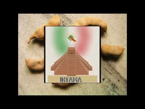 chaba Parade sub español calidad excelente