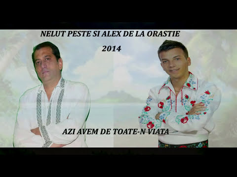 Alex de la Orastie❌Nelut Peste❌Cristian Rizescu❌Mihai Priescu❤️Colaj muzica de petrecere