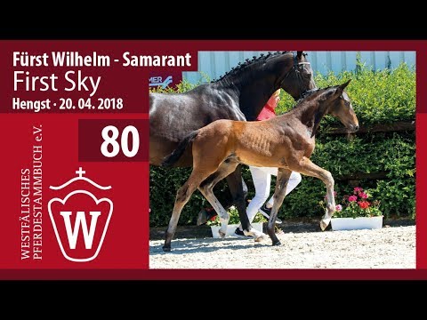 080 First Sky HF v. Fürst Wilhelm - Samarant