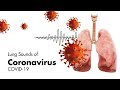 Sounds of Coronavirus (COVID-19) - Lung Sounds