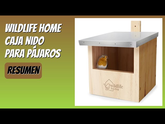 Vídeo relacionado con Garden Mile Triple 3 in 1 Colorido Madera Jardín Pajarera Nido Cajas con Trasera Puertas para fácil Limpieza Predator Prueba para Acomodar Pequeño Pájaros Gorrión, Herrerillo Robin Nester