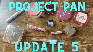 Project 10 Pan Update | Makeup Project Pan | June 2025