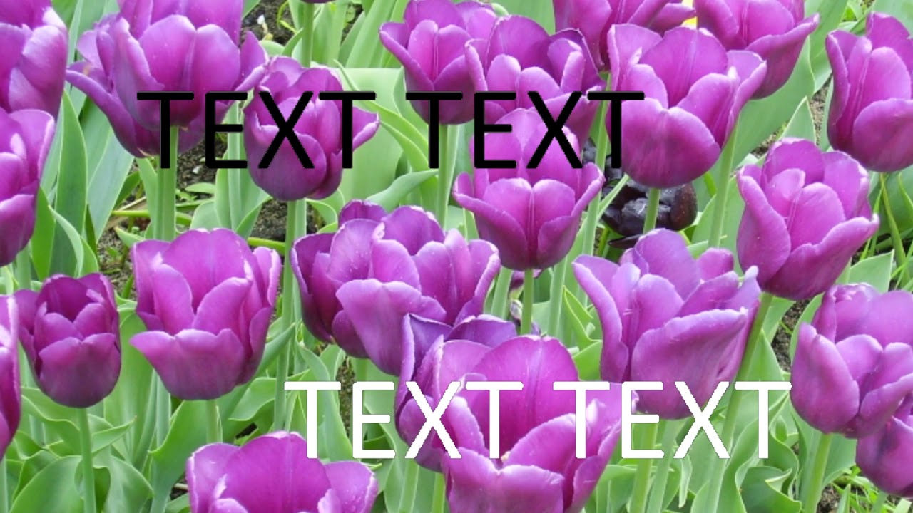 Image animation. Pan left