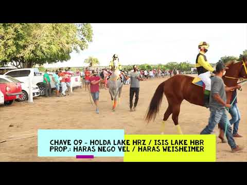 APRESENTAÇÃO DOS POTROS          1° GP BAHIA FUTURITY