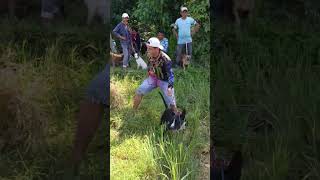 Download lagu GAROBAK TUNDO mp3 Download lagu GAROBAK TUNDO mp3