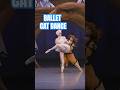 A Ballet Cat Pas de Deux #ballet #sleepingbeauty