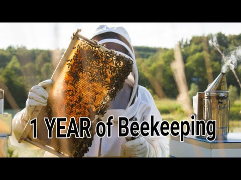 , title : 'Becoming a Beekeeper - Day 1 till Day 365 - my first Honey Harvest - 1 year of Keeping bees'