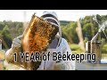 Becoming a Beekeeper - Day 1 till Day 365 - my first Honey Harvest - 1 year of Keeping bees