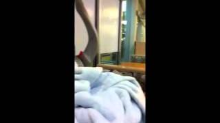 Mis Principes Israelitas