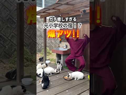 また絶対に泊まりたいと思ったコスパ最強の癒し宿。