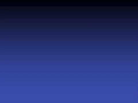 FSV Frankfurt - Ein Traum in Schwarz und Blau