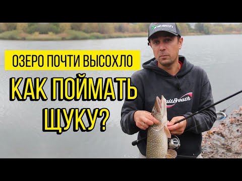 12 щук на бесхозной луже! Как и Где ловить щуку на мелководье