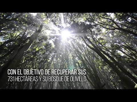 Conservación de biodiversidad en la Región de Coquimbo – Consejo Minero